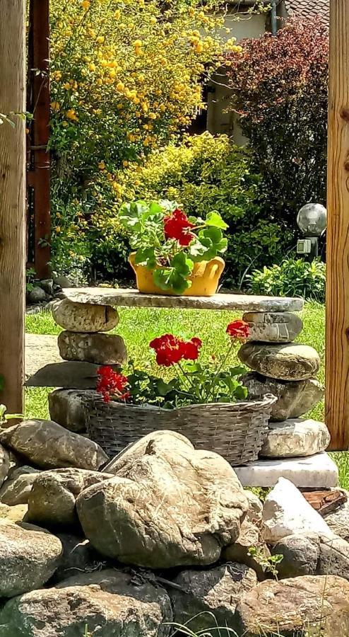 Vila Casa Din Coltul Cetatii Hărman Exteriér fotografie