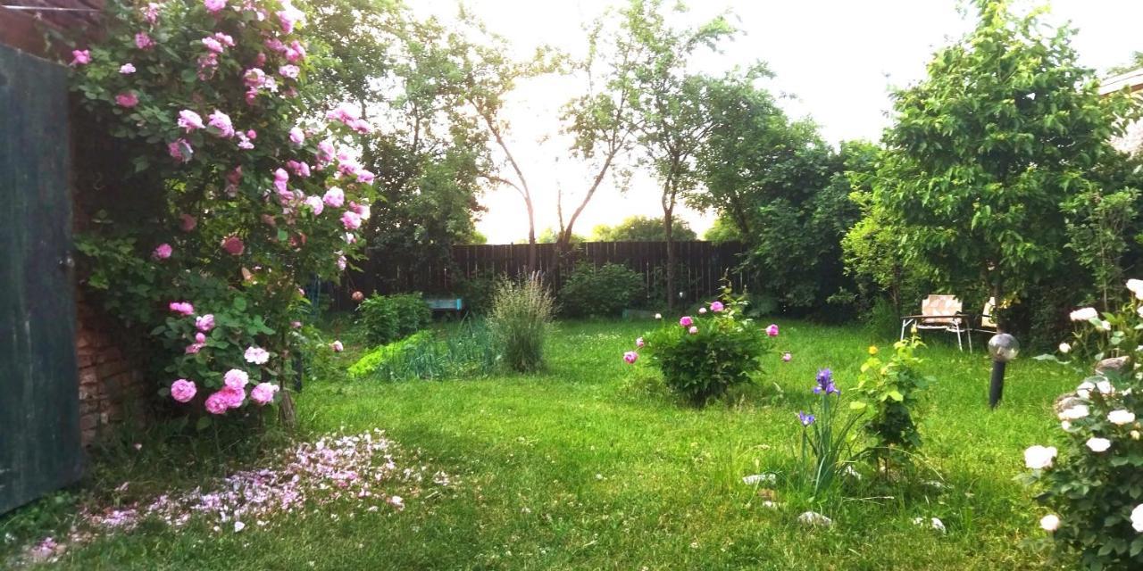 Vila Casa Din Coltul Cetatii Hărman Exteriér fotografie